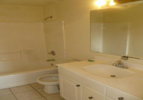 905 E Adams St, Tucson, Arizona 85719, 2 Bedrooms Bedrooms, ,1 BathroomBathrooms,Duplex,For Rent,E Adams St,1783
